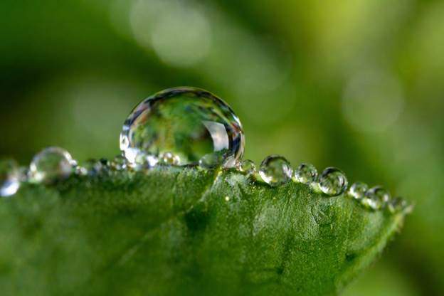 You are currently viewing How to Shoot Macro Photography Without an Expensive Macro Lens